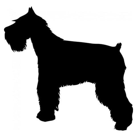 Rienda Libre Graphics - Decomural Schnauzer Dog Pack Ws-33056