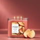 thumbnail image 4 of Candle Yankee Candle, tarro de 3 mecha, 40 horas de combustión, canela azucarada, 4 of 7