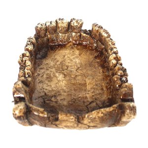 Ioensy - Comedero De Resina Para Reptiles, Plato De Agua Y Comida Para Geckos, Dragones Barbudos Y Lagartos.