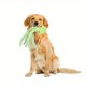 thumbnail image 1 of Pet Plush Sound Gnawing Octopus Shaped Toy Interactive Dog Toys, 1 of 2