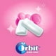 thumbnail image 3 of Chicle Sin Azúcar Professional Bubblemint 6x64 grs, 3 of 4