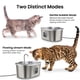 thumbnail image 5 of Fuente para gatos PAWSPIK SS-01 de acero inoxidable, 3,2 L, 5 of 8