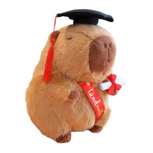Magideal - Muñeco De Graduación De Capibara, Juguete De Peluche, Decoración Del Hogar Con Sombreros, Animales De Peluche De Simulación Para Graduación De Niñas F Marrón