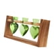 thumbnail image 1 of Maceta Hidropónica Para Plantas, Terrario Para Mesa De Comedor, Cocina De Estilo Rústico, Color Verde, 1 of 3