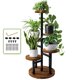 thumbnail image 1 of Soporte para plantas AUGOSTA de madera de metal de 5 niveles para interiores y exteriores, 1 of 8