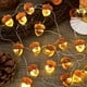 thumbnail image 1 of Luces decorativas JASHIKA 3D Acorn, 10 pies, 30 LED, USB con batería, 1 of 3