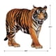 thumbnail image 2 of Decoración Beistle Jointed Tiger, 62,23 x 62,87 cm, cumpleaños, 2 of 7
