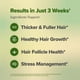 thumbnail image 2 of Suplemento de apoyo al crecimiento del cabello de Positive Willo Women, 30 unidades, 2 of 2