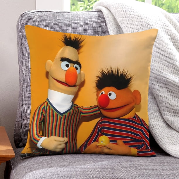 Bert Fundas de almohada de terciopelo con tema, regalos de funda de almohada, decoración para el hogar, cojín de lanzar, regalo de cumpleaños para fans y parejas. 60cm x 60cm.