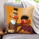 thumbnail image 1 of Bert Fundas de almohada de terciopelo con tema, regalos de funda de almohada, decoración para el hogar, cojín de lanzar, regalo de cumpleaños para fans y parejas. 60cm x 60cm., 1 of 6