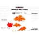thumbnail image 3 of Puzzle Pixel Art Bricks Pix Brix Dinosaur Triceratops 454 piezas, 3 of 6