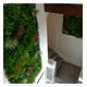 thumbnail image 2 of Jardin Vertical Natural, 2 of 2