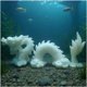 thumbnail image 1 of Escultura Livelyfish – Estatua de Dragón de Piedra Arenisca Blanca, 1 of 7