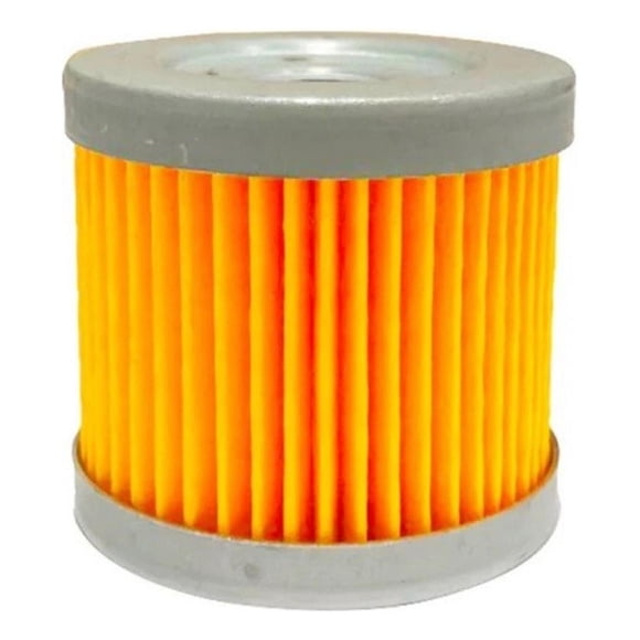 Filtro Aceite Moto Euromot Gxt 200 / Qm 200 Japones