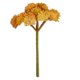 thumbnail image 1 of Suculenta Artificial Mainstays 3.75 x 5 in Amarillo, 1 of 3