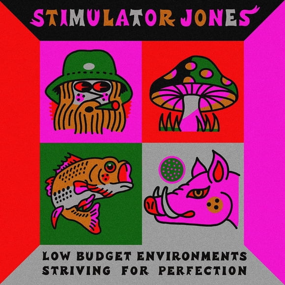 Vinilo LP Stones Throw Low Budget Environments
