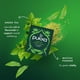 thumbnail image 5 of Té de hierbas Pukka Supreme Matcha Green Organic 80 bolsitas de té, 5 of 8