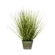 thumbnail image 1 of Planta Artificial Grass Zebra 64 cm, 1 of 1