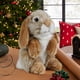 thumbnail image 2 of Animal de peluche Living Nature, conejo de orejas caídas sentado, marrón, 2 of 7