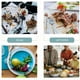 thumbnail image 2 of Juego de 8 platos redondos para aperitivos con escurridor, platos para tartas, platos de postre, platos de ensalada y platos pequeños para servir (verde), 2 of 8