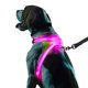 thumbnail image 1 of Arnés para perros Noxgear LightHound iluminado por USB recargable, 1 of 9