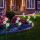 thumbnail image 4 of 1pc/2pcs 36 LED Solar Outdoor Lights, IP65 Waterproof 3-in-1 Garden Flowers Decorative Lights With 2 Modes For Garden, Yard, Patio, Pathway, 4 of 5