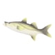 thumbnail image 5 of Simulación de peces simulados realistas Artificial Marine Animals Deco Style_2, 5 of 5