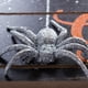 thumbnail image 2 of Letrero colgante de Halloween Decoration DII Beware Giant Spiders, 2 of 4