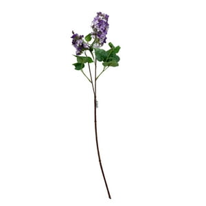 Corel - Lila Morada Clara 85Cm Con Acabado Natural