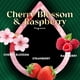 thumbnail image 4 of Recarga de aceite perfumado Air Wick Vibrant Cherry Blossom & Raspberry, 4 of 9