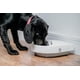 thumbnail image 2 of Comedero Automático para Mascotas Cat Mate C300 3 Comidas Blanco, 2 of 8