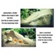 thumbnail image 4 of Refugio para Acuario FROSTO Cueva de Esquina 19 cm Color Arena Desértica, 4 of 9