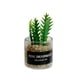 thumbnail image 2 of Mini Juguetes Para Casa De Mu?ecas Modelo De Paisaje Estático Modelado Mini Plantas Artificiales Estilo F, 2 of 5