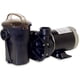 thumbnail image 1 of Bomba para Piscina Hayward Power Flo W3SP1580X15 1.5 HP para Piscinas Elevadas, 1 of 2