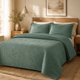 thumbnail image 1 of CUBRECAMA MARTINÉ MICROFIBRA EMBOSSED SONYA CON SHERPA 2.5 PLAZAS VERDE – 260 X 250 CM, 1 of 3