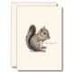 thumbnail image 1 of Juego de tarjetas de notas Earth Sky + Water de 8 unidades – Ardilla gris, 1 of 3