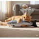 thumbnail image 2 of Juguete Gato Pez Catnip 60 Cm, 2 of 3