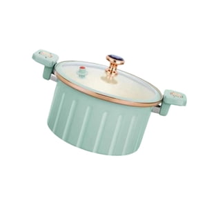 Magideal - Olla A Presión Micro Olla De 10 L Estufas De Inducción A Gas Resistente Al Calor Olla Para Guisos De Fácil Limpieza Olla Para Cocinar Fideos Arroz Sop