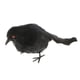 thumbnail image 1 of plumas artificiales cuervos peque?os pájaros cuervos accesorios decoración de Halloween # 2 negro, 1 of 3