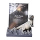 thumbnail image 4 of Lindo Dinosaurio Marco De Fotos Ornamento Mesa Decoración Regalo Hogar Fotografía Arte Gris, 4 of 5