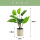 thumbnail image 2 of Plantas artificiales, plantas artificiales en maceta, decoración del hogar, 2 of 5