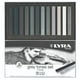 thumbnail image 1 of Pastel Suave Lyra 12 Tonos Grises, 1 of 4
