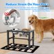 thumbnail image 2 of Juego de 2 comederos elevados SHAINFUN de 58 oz con alfombra antideslizante, 2 of 7