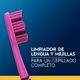 thumbnail image 4 of Pack Familiar Cepillos Dentales Color Collection  (5 Un), 4 of 5