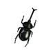 thumbnail image 3 of Novedad Solar Powered Simulación Insectos Animales Model Toy Beetle, 3 of 3