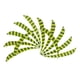 thumbnail image 4 of Plumas Para Flechas Fiocias 3" Amarillo Fluorescente 12 Piezas, 4 of 5