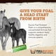 thumbnail image 2 of Health Foal Kick Start Inmunidad 80 Ml, 2 of 7