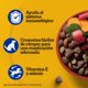 thumbnail image 3 of Alimento Seco Perro Senior Carne y Vegetales Bolsa, 3 Kg, 3 of 10