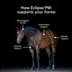 thumbnail image 3 of Suplemento Nutricional MVP 2,72 kg Apoyo Inmunológico para Caballos, 3 of 8