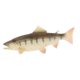 thumbnail image 5 of Simulación De Animales Del Océano Modelo Figura Juguetes Educativos Salmón, 5 of 5